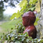 Day of Silent Meditation at The Barn