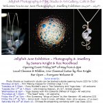 Jellyfish June - Jewellery & Photography Exhibition