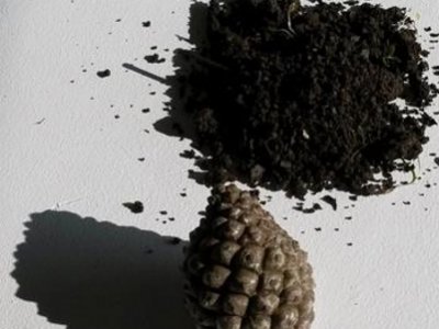 Kate Marshall Solo Show and Work in Progress