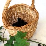 Making Baskets: Blackberry basket
