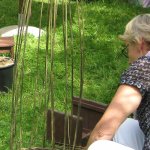 Making Garden Supports with willow