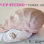 Pop-up Studio Back at Torre Abbey