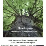 Shinrin-yoku - Forest Therapy walk
