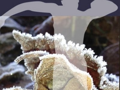 Taster session for Movement, Medicine, Dance group with Rosie Pe