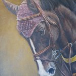 The World of Horses and Portraiture