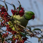 Torbay Photographic Society Public Exhibition