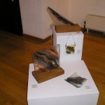 Angela Holmes   At Ariel Centre Gallery.