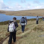 Approaching an Exchange: Dartmoor