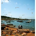 back beach - Teignmouth