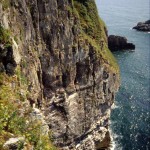 Berry Head National Nature Reserve