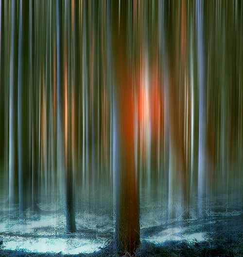 Blue Forest Dream by Julie Routley ARPS