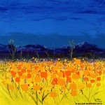 Californian Poppies