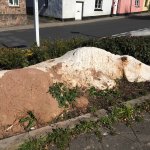 Cob horse  Hatherleigh