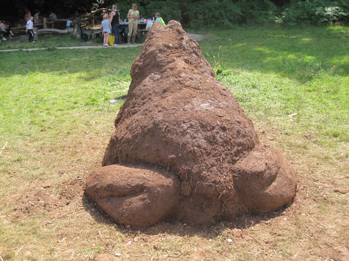 Cob Toad