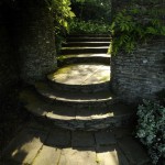 Coleton Fishacre gardens