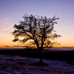 Colour of the Snow