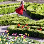 Dancing through the maze