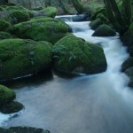 Dartmoor river