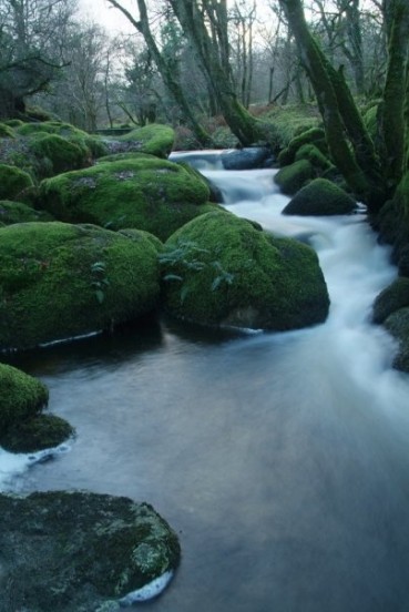 Dartmoor river