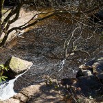 Dartmoor Sedimentary Pool