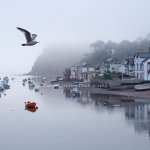 Shaldon, Teign Estuary