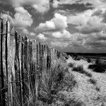 Dawlish Warren 2