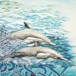 Dolphins and Carp