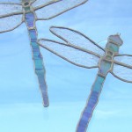 dragonflies