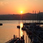 Evening Harbour