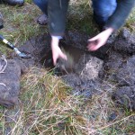 Excavating the bog pantry