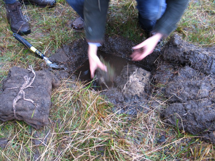 Excavating the bog pantry