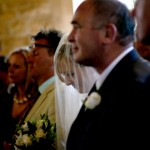 Father & Bride/Wedding