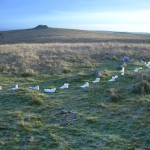 Feet Felt at Shovel Down, Dartmoor