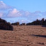 Footprints on Stoke Beach