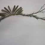 Green Woodpecker Birch Branch