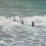 Groynes & Gulls