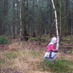 Haldon Forest