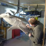 Hammerhead having a respray