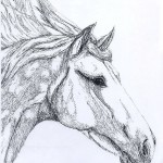 horse1