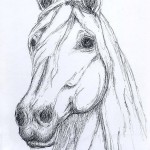 Horse2