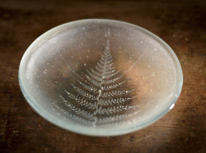 Ice Silver Fern Glass Dish