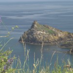 Mew Stone off Froward Point, Kingswear