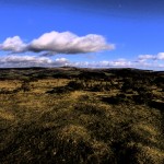 Moon on the Moor