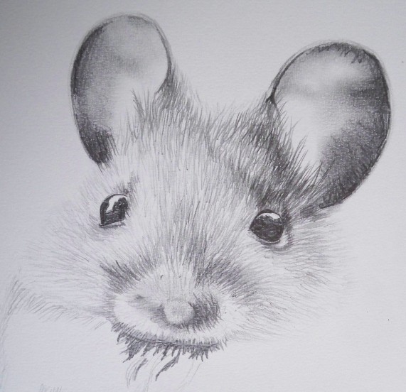 Mouse (in progress)