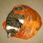Not letting the cat out of the bag but.....