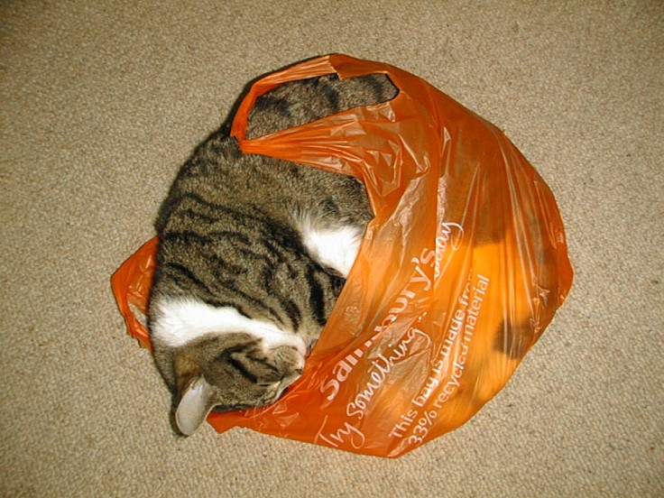 Not letting the cat out of the bag but.....