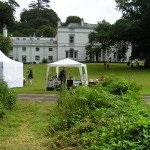 Peter Stride sculptor