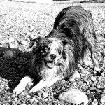 Playing on the beach