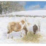 Ponies in the Snow