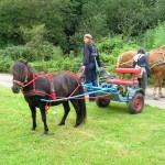 Pony ride